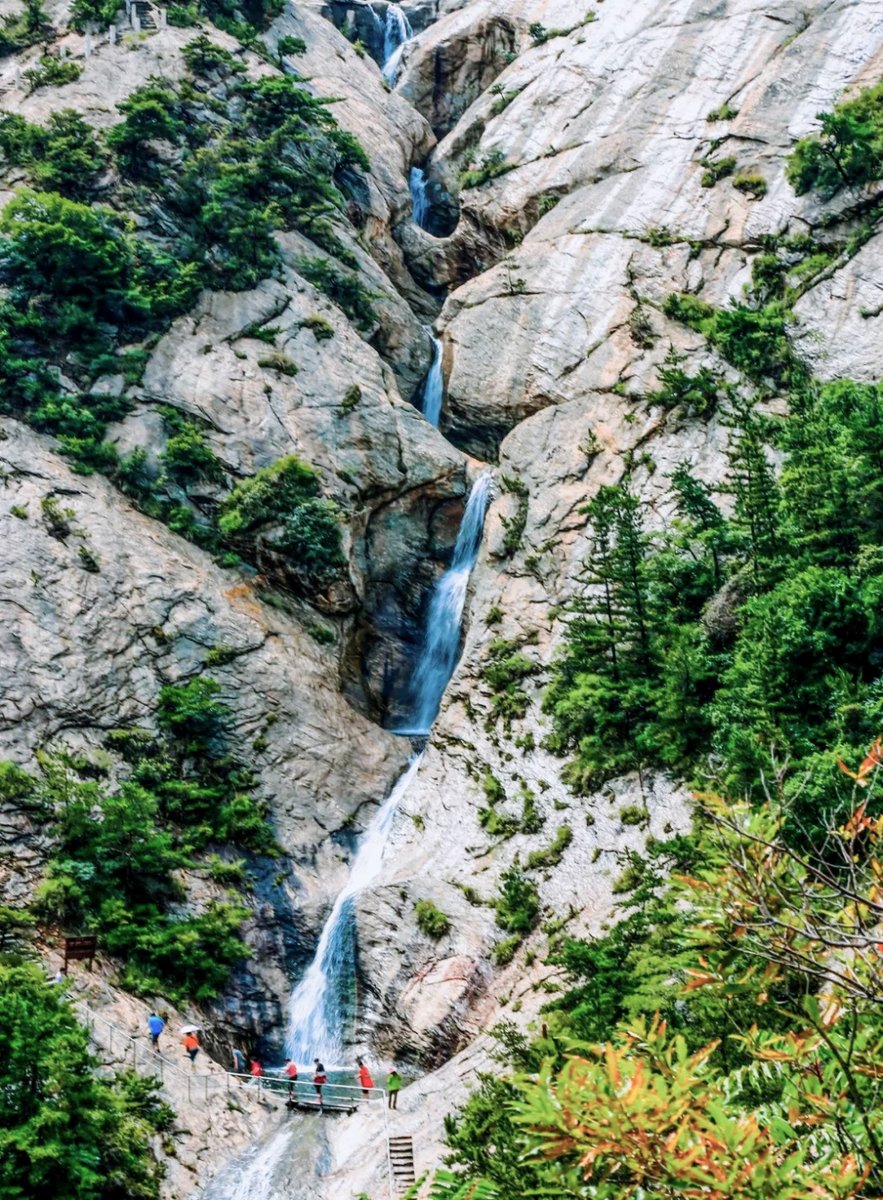 DiscoverYantai's tweet image. On warm and sunny spring days🌞, let's go hiking together and explore #Yantai's picturesque hiking spots. Come and experience the beauty of the mountains and wilderness!🤸🌳🌳 #SpringInYantai 
(Source: Yantai Municipal Bureau of Culture and Tourism)