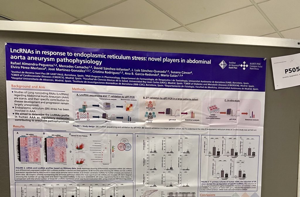 The #FCVB2024 is coming to an end, but today you can join us for the Late-Breaking Science Poster Session to discuss our poster on #lncRNAs in #AAA. Come chat with us! 

@escardio @IRSantPau