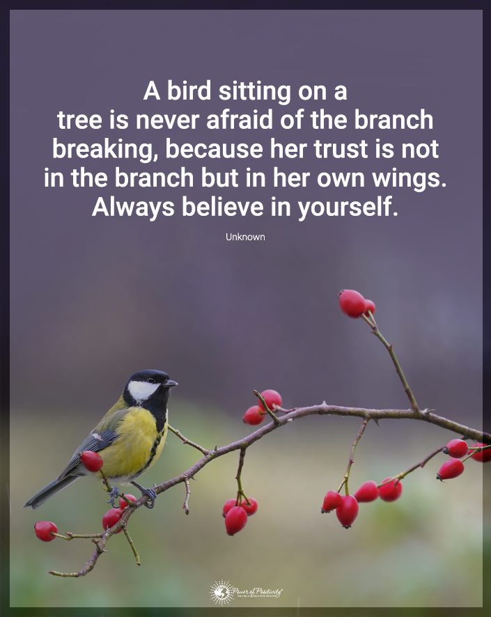 TrainingMindful's tweet photo. https://t.co/T7BYGBdBFn