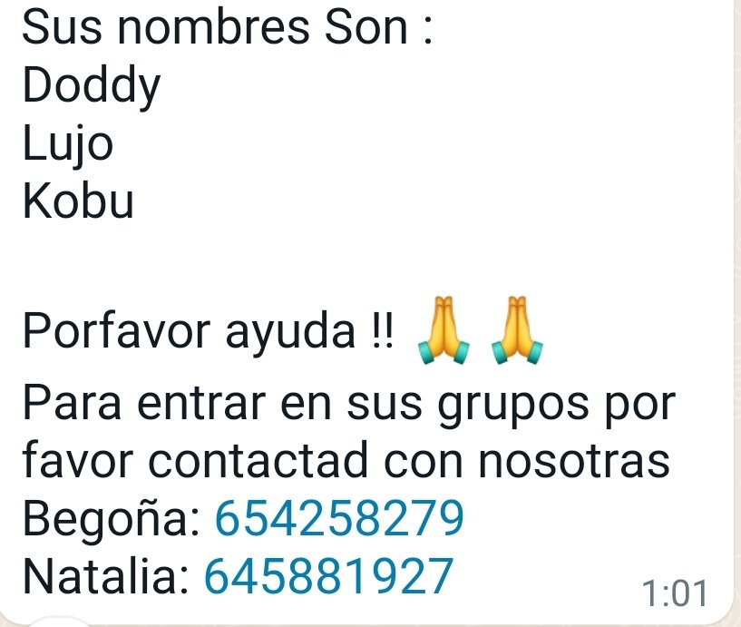 🆘🆘🆘🆘 NECESITAMOS MADRINAS/PADRINOS PARA #DODDY,#LUJO y #KOBU🆘🆘

#AYUDA #Sabado