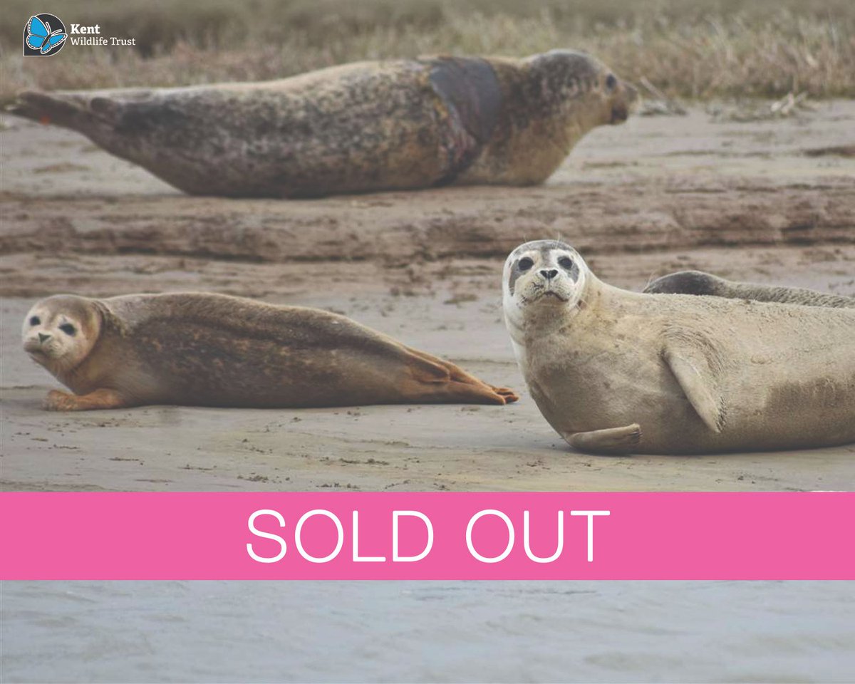 Ramsgate Through The Senses (@ramsgatesenses) on Twitter photo Can you believe it? We just announced this year's Festival and the #Seal Spotting event with <a href="/KentWildlife/">Kent Wildlife Trust</a> has already sold out! 🦭
There are plenty of events & workshops you can still join us for, including an Introduction to the #Beavers at Ham Fen! 🦫
ramsgatethroughthesenses.org/workshops-2024 Can you believe it? We just announced this year's Festival and the #Seal Spotting event with <a href="/KentWildlife/">Kent Wildlife Trust</a> has already sold out! 🦭
There are plenty of events & workshops you can still join us for, including an Introduction to the #Beavers at Ham Fen! 🦫
ramsgatethroughthesenses.org/workshops-2024