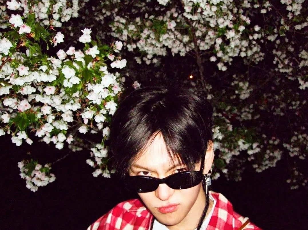 yoshicosmos's tweet photo. 😽😾🌸 https://t.co/tzDxpIkBB2