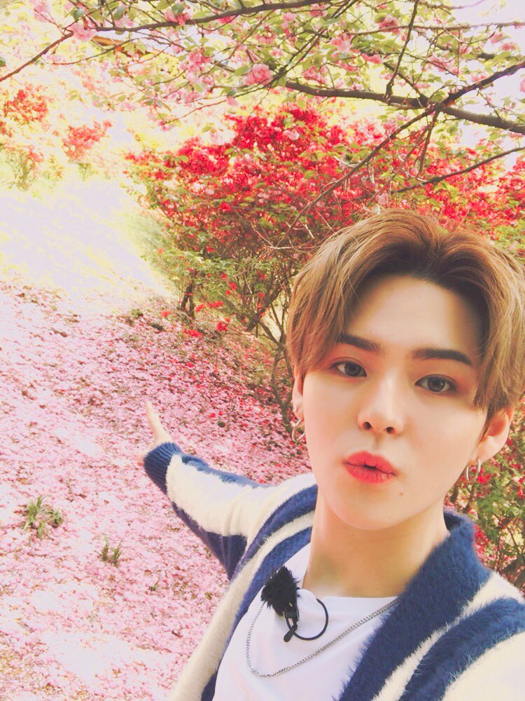 yoshicosmos's tweet photo. 😽😾🌸 https://t.co/tzDxpIkBB2