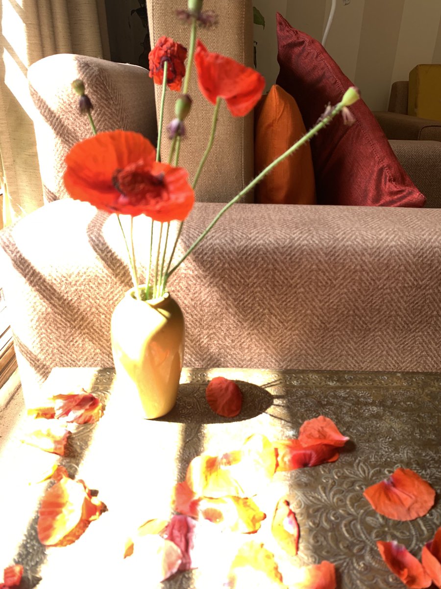 It doesn’t matter how Let petals scatter now (Poppies spill from a vase, writer’s garden, Chandigarh)