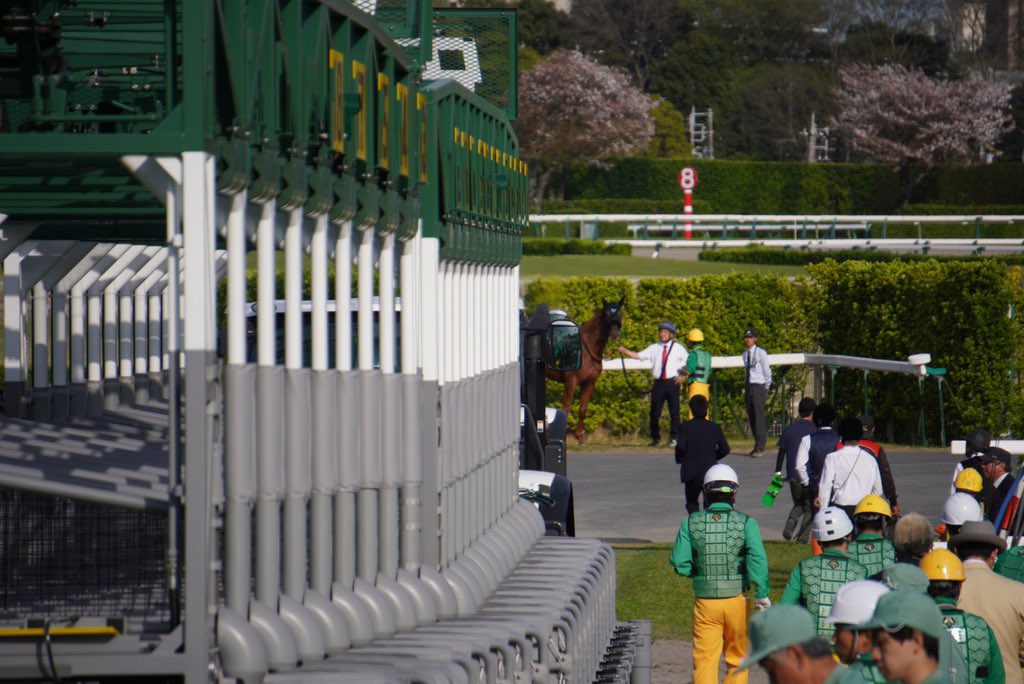 ダノンデサイルずっとレース観てて草