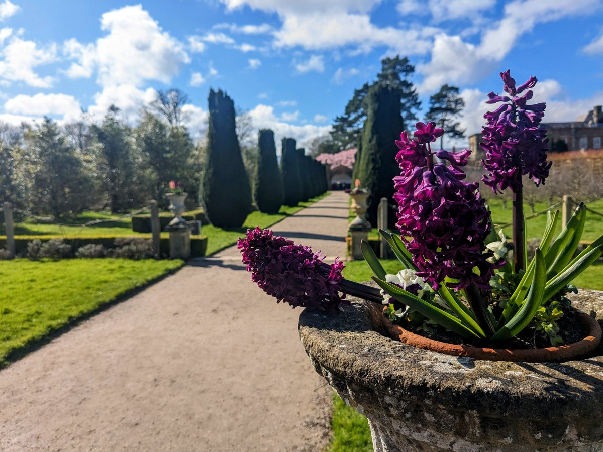 Lou Nicholls tweet media