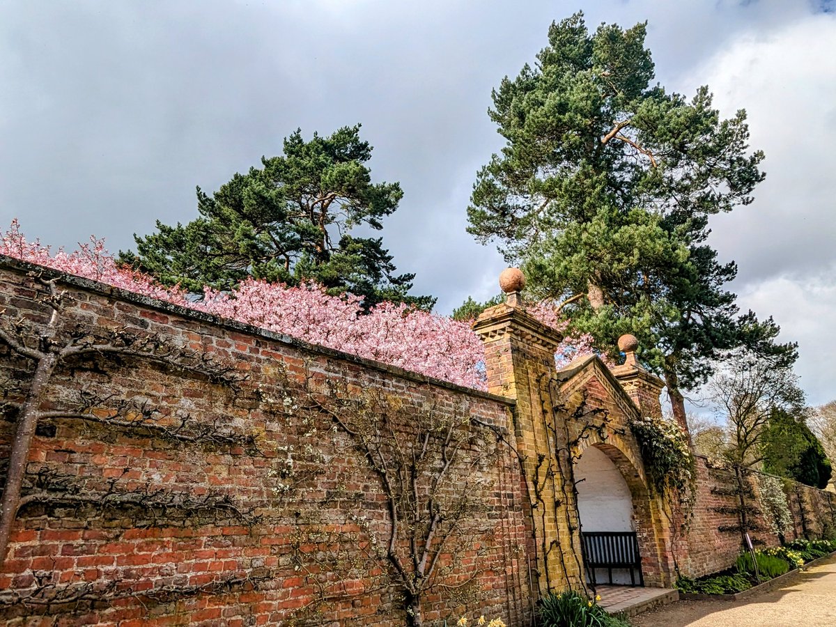 Lou Nicholls tweet media