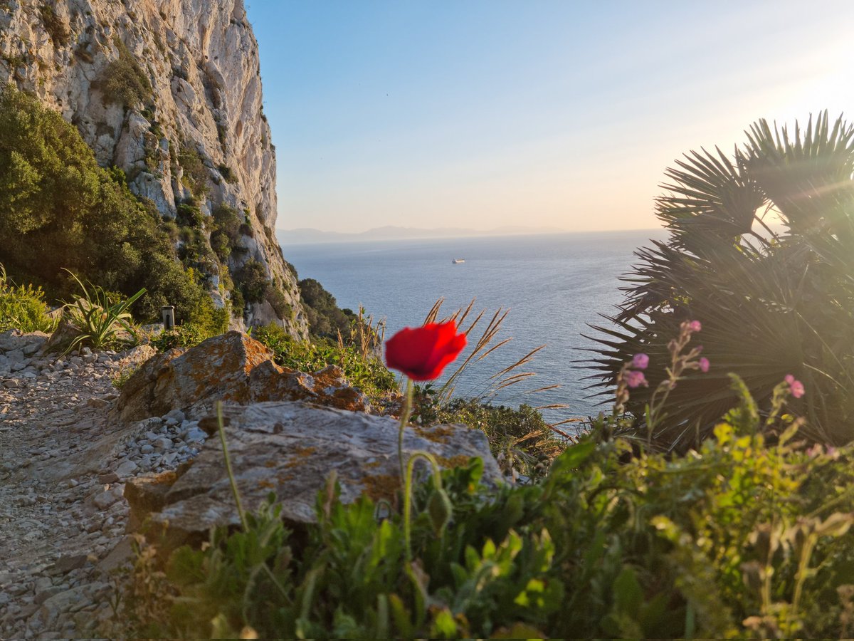 RosAstengo's tweet photo. Best way to start the day #MedSteps #Gibraltar #Wellbeing https://t.co/UfzEGGWz0H