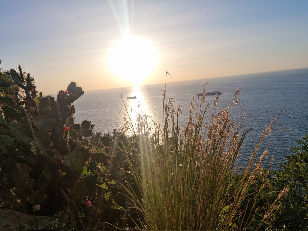 RosAstengo's tweet photo. Best way to start the day #MedSteps #Gibraltar #Wellbeing https://t.co/UfzEGGWz0H