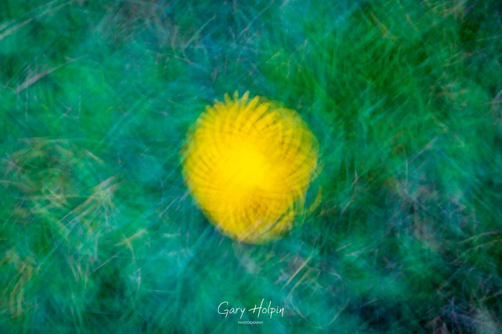 GaryHolpin's tweet photo. Morning! As there is no #SundayVote this week, I thought I would share some ICM (Intentional Camera Motion) pics, created by moving the camera during the shot. 

You will either love them or hate them, but this is my take on the colours of spring...

#springcolours #icm #photoart https://t.co/iFiHWFWJUu