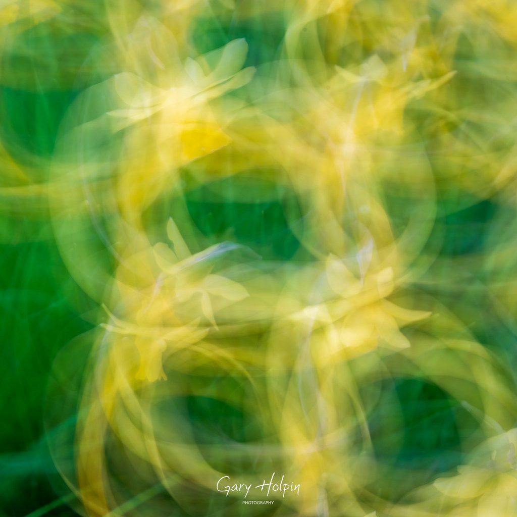 GaryHolpin's tweet photo. Morning! As there is no #SundayVote this week, I thought I would share some ICM (Intentional Camera Motion) pics, created by moving the camera during the shot. 

You will either love them or hate them, but this is my take on the colours of spring...

#springcolours #icm #photoart https://t.co/iFiHWFWJUu