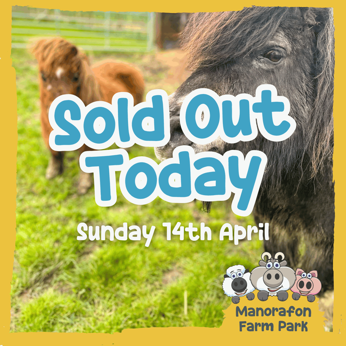 SOLD OUT TODAY! ❌ There will be no on the gate admission today as we are fully sold out. If you have prebooked online - we look forward to welcoming you 🌞