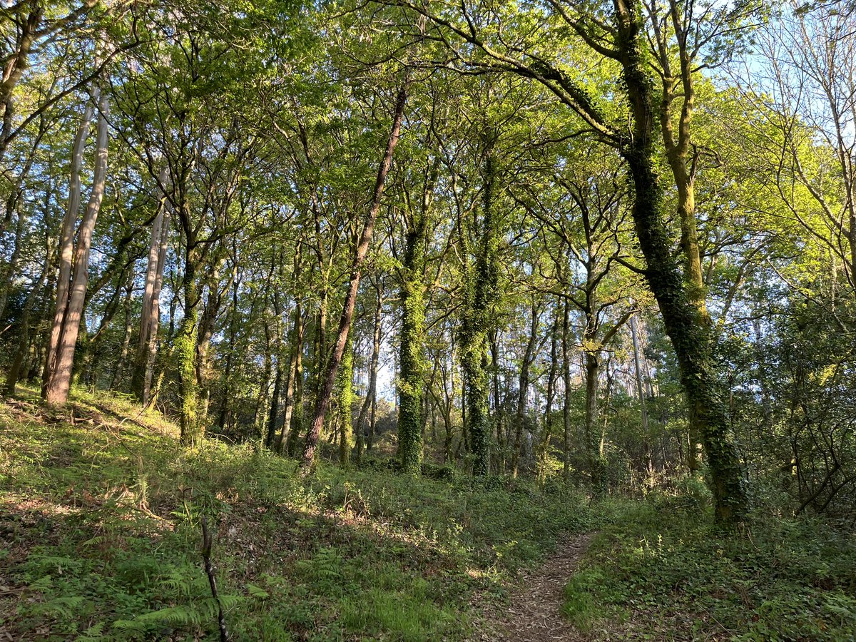 Neus Alberich tweet media