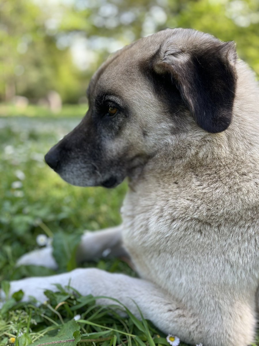 Neus Alberich tweet media