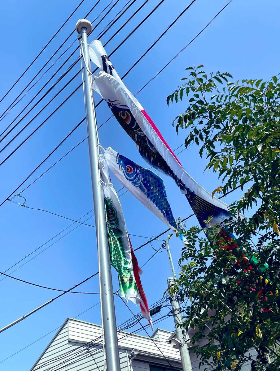 「今日は少し風も弱いのでおとなしめな泳ぎ 」|糸島雅彦のイラスト