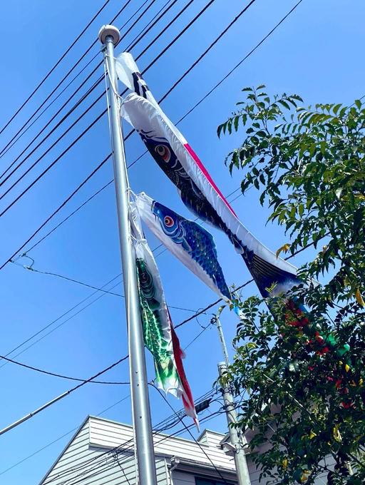 今日は少し風も弱いのでおとなしめな泳ぎ 