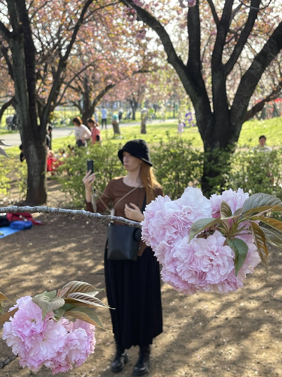 mao_konoe's tweet photo. テレビ電話で🇺🇦のご両親と春満喫中🌸 https://t.co/KMeSX5dc1A