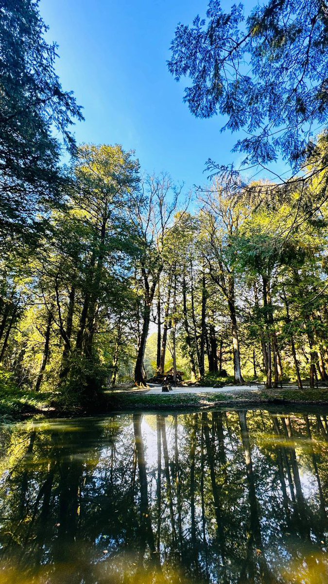 It’s been too long since I’ve been here.