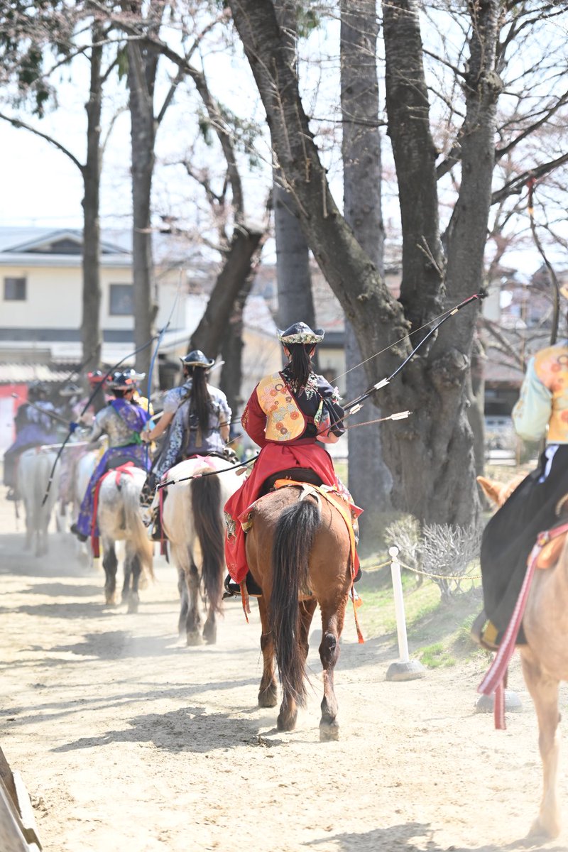 d500_70_200's tweet photo. 桜流鏑馬二日目
女性騎士の艶やかさに魅了…
#桜流鏑馬 #Nikon https://t.co/HeO6exYZOx