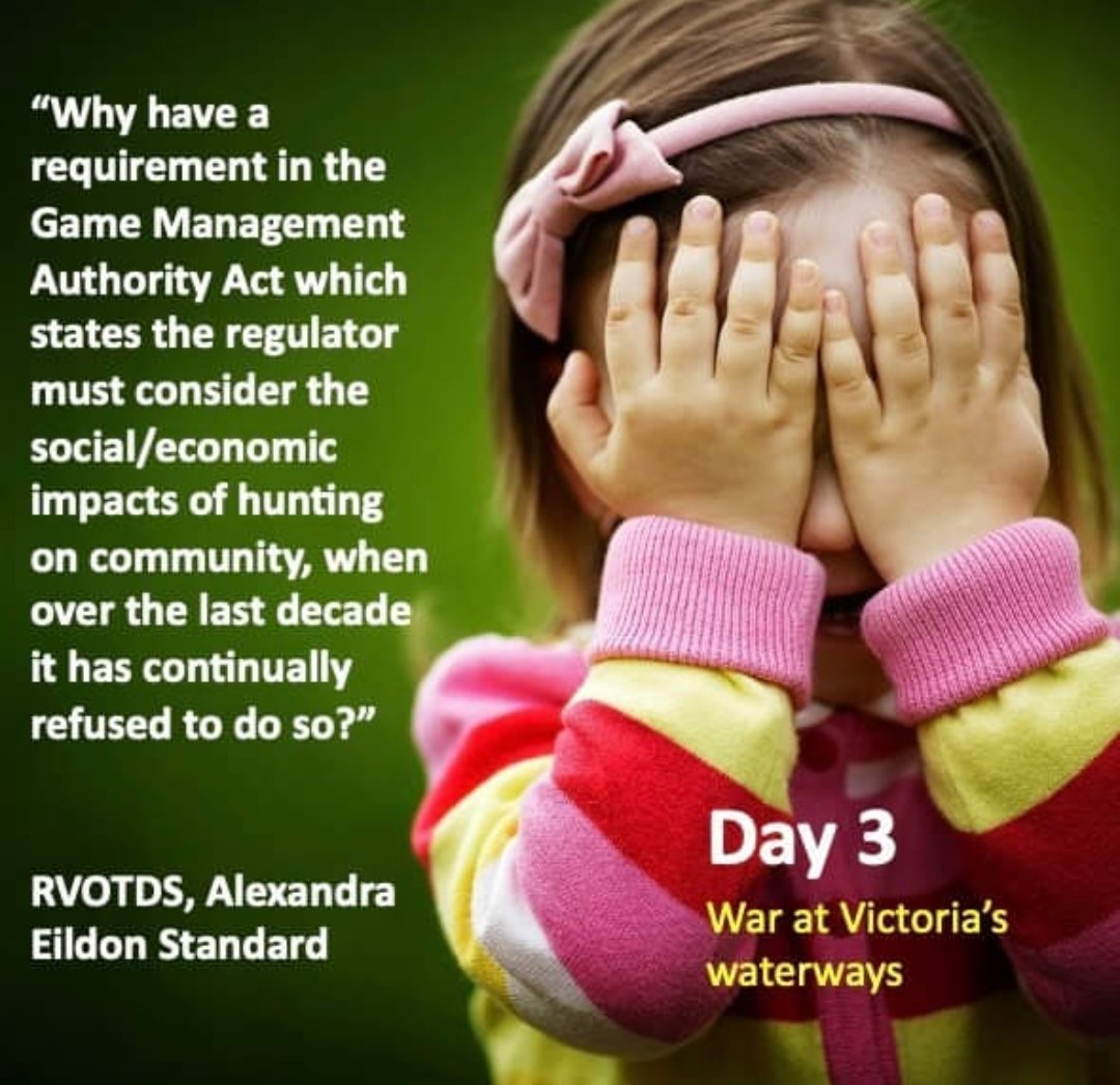 'If only Jacinta or Steve would visit regional families at their homes by waterways around the state to witness this legitimate recreation.'
- Regional Victorians Oppsed to Duck Shooting Inc.
#BanDuckShooting