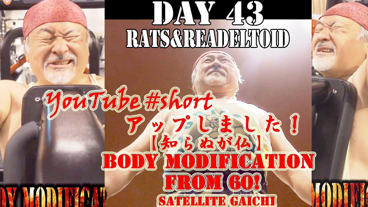 I uploaded it to YouTube short.【Body modification from 60 !】【Blissful ignorance】 Internal destruction in easygoing mode?See the main story for details! #Muscletraining #biginner #HAREGYM  youtube.com/shorts/OMLtkL2…