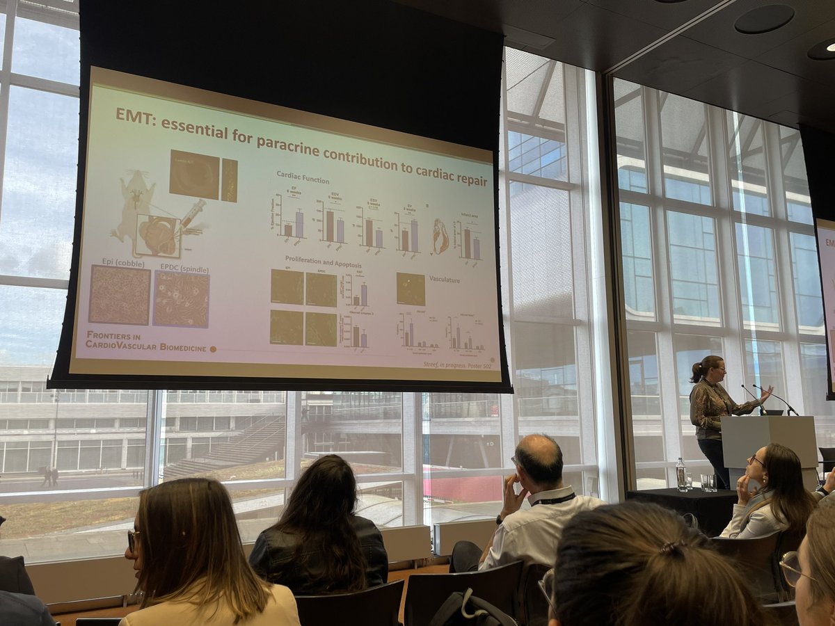 Anke Smits talking on Epicardial inflammation in obesity and diabetes Speaker: Anke Smits (Leiden University Medical Center) #FCVB2024 #ESCardio @C_Balbi90 @MonikaGladka @CarolRemme @AnkeMSmits