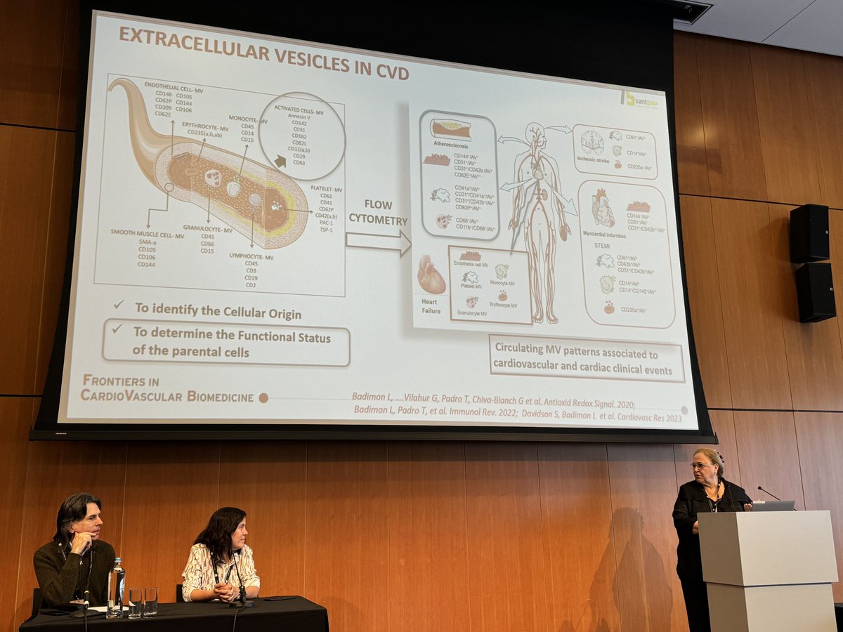 Alessandra Lodrini (@alelodrini) on Twitter photo Prof. <a href="/lbadimon/">Lina Badimon</a> dived into her studies on extracellular vesicles in cardiovascular disease.
❗️circulating microvesicles appear as markers of diseases like familial hypercholesterolemia & heart failure.
Challenge: easy detection for clinical purposes!
#FCVB2024 #ESCbasicscience Prof. <a href="/lbadimon/">Lina Badimon</a> dived into her studies on extracellular vesicles in cardiovascular disease.
❗️circulating microvesicles appear as markers of diseases like familial hypercholesterolemia & heart failure.
Challenge: easy detection for clinical purposes!
#FCVB2024 #ESCbasicscience