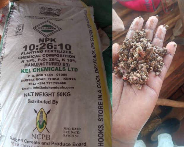 The financial and emotional toll of fake fertilizers on Kenyan farmers cannot be understated. Kalua Green's article sheds light on the devastating impact. #FarmingDeathKE kaluagreen.com/why-a-silent-s…
