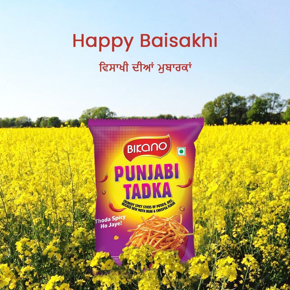 So many reasons to be happy today, wherever in India you are. And so many Bikano tastebuddies to celebrate them with. #rasogolla #punjabimixture #madrasmixture #keralamixture #namkeen #sweet #festival #poilaboishakh #happyvishu #happyputhandu #happyvaisakhi #BarsonSeBikano