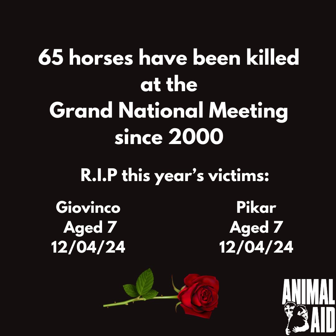 💔 R.I.P to every victim of the Grand National Meeting. #YouBetTheyDie