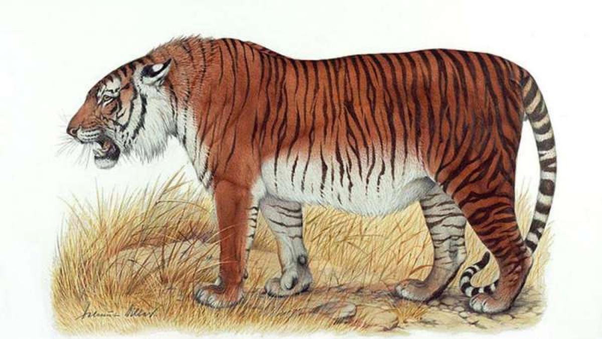MENGUNGKAP JEJAK MISTERIUS HARIMAU JAWA

Selengkapnya: opinia.id/post/mengungka…