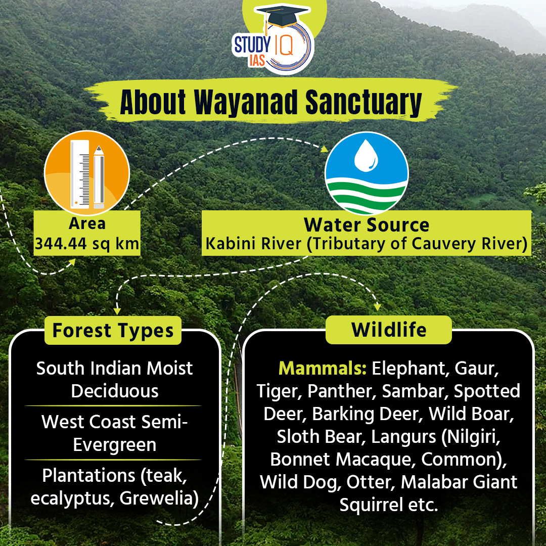 Wayanad Sanctuary

#wayanadsanctuary #wildlifesanctuary #sulthanbathery #nilgiribispherereserve #unesco #tigerreserve #biospherereserves #karnataka #mudumalai #tamilnadu #currentaffairs #dailycurrentaffairs #upsc #cse