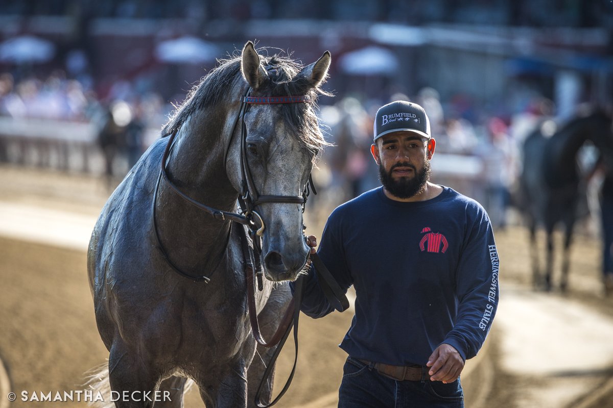 The Grey Wizard is entered in the Grade II Elkhorn Stakes at @keenelandracing next Saturday. He is pictured here at Saratoga, where he ran in the Grade II Bowling Green Stakes last time out.