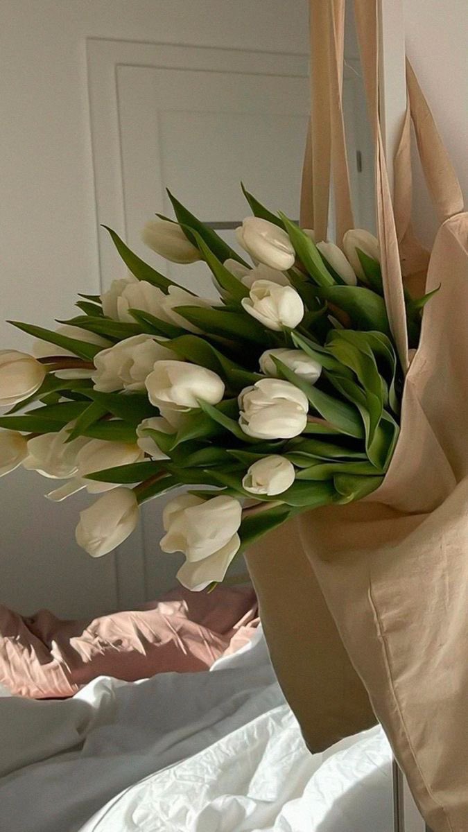 White Tulips