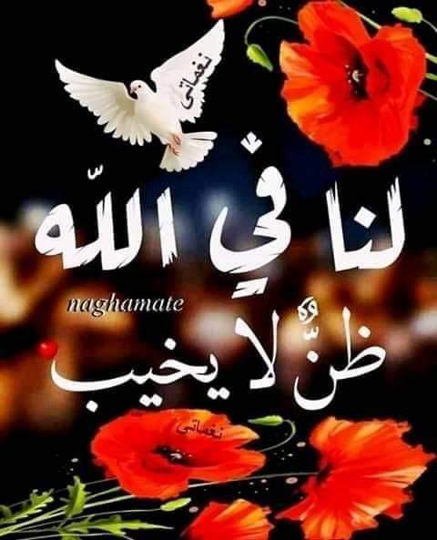 EngEmadhm2010's tweet photo. https://t.co/sZ5DolBj7S