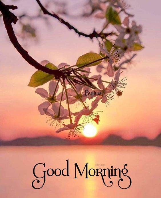 Assallam o alikum 💕
Good morning friends
 🩷🩷🩷Kasy han ap log 🩷🩷🩷