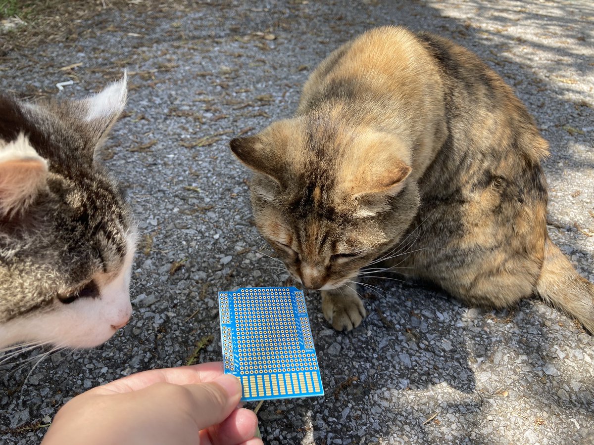 ヤギ型トランジスタ (@murabi10_c1815) / Posts / X