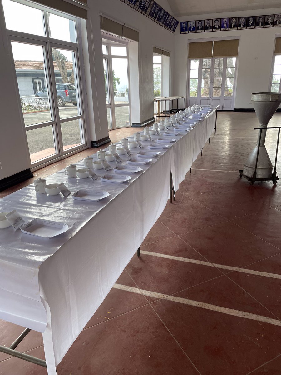 TeaScientist tweet media