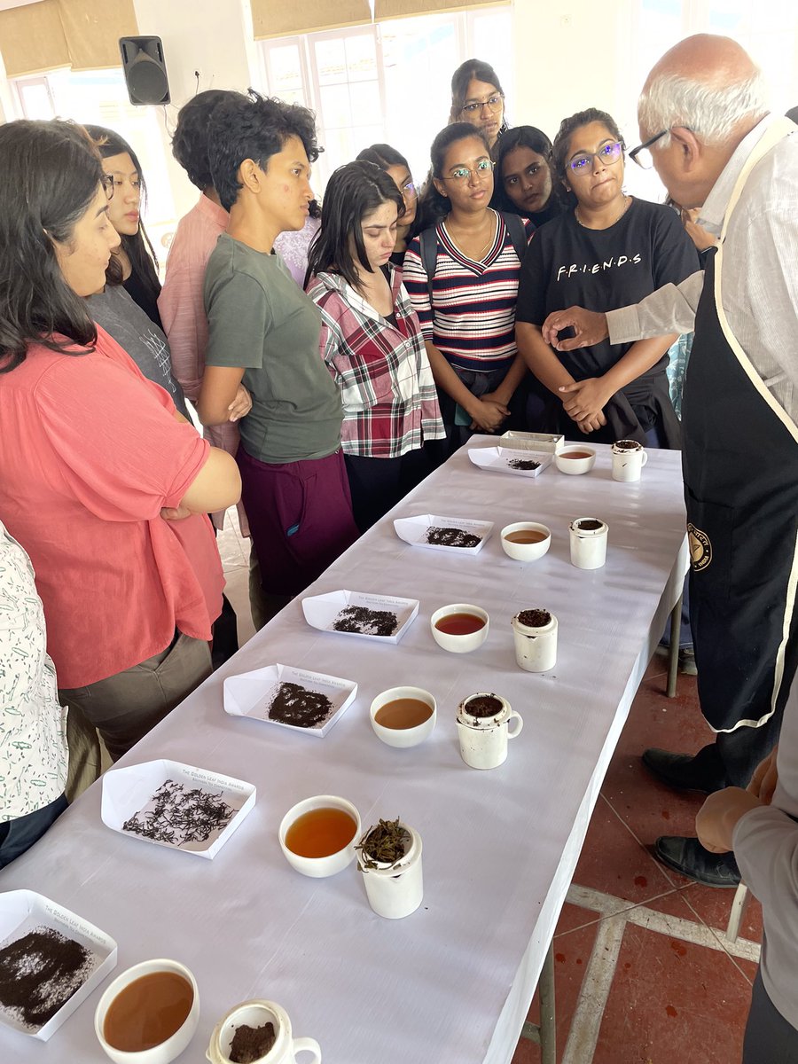 Ready Set Go
Tea tasting introduction.
