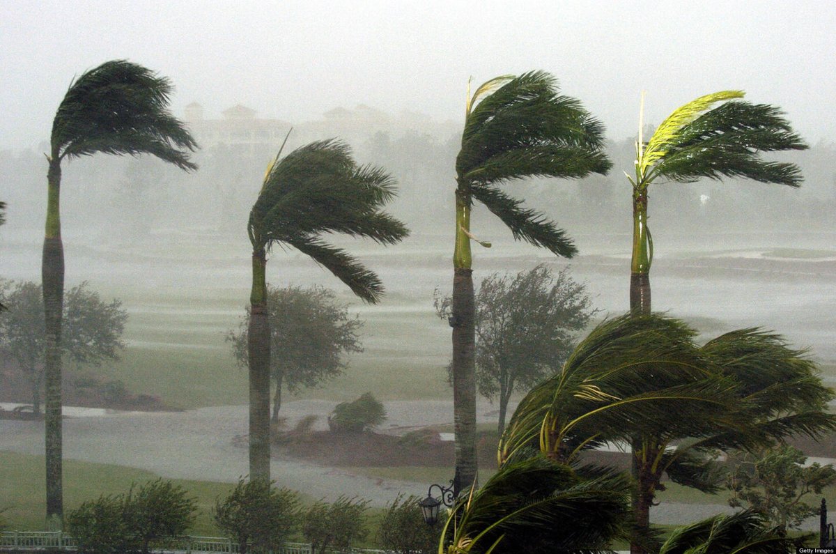 Hurricane Season starts June 1. Are you prepared? dlvr.it/T5TJ8G