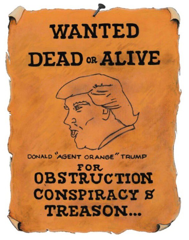 WANTED FOR TREASON #TREASON #TreasonousTrump #TRE45ON