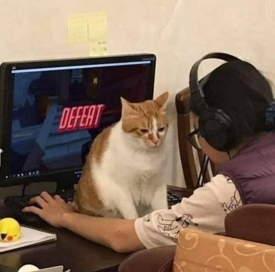 PunchingCat's tweet photo. defeat https://t.co/qUVKXO94Y6