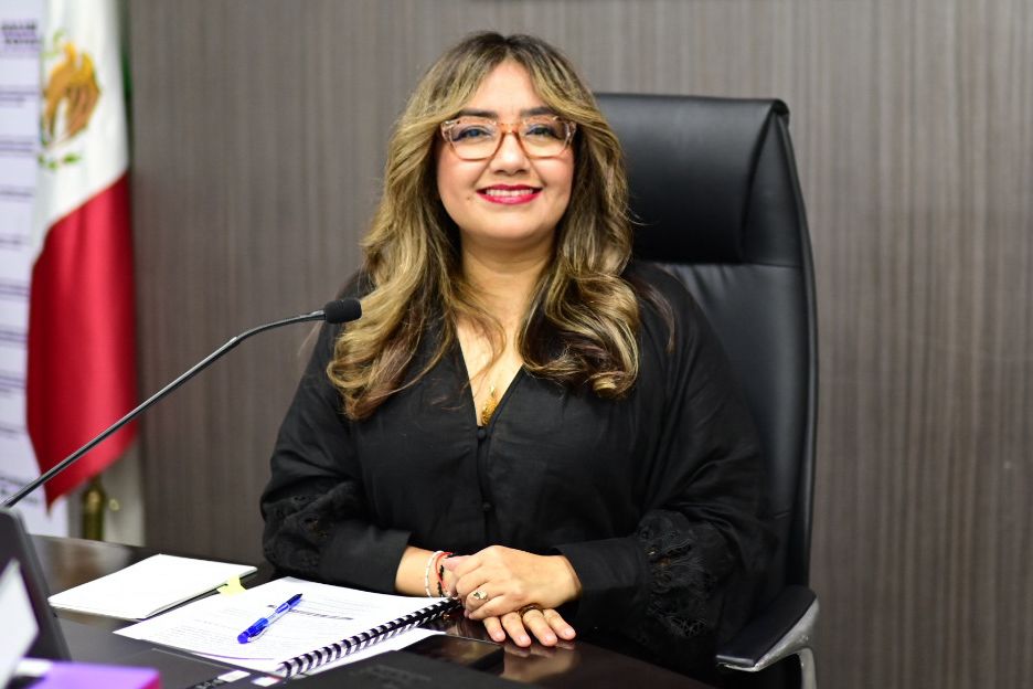 OPLE Veracruz 🗳️ tweet media