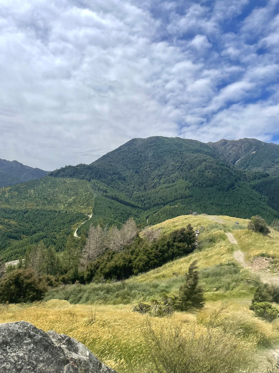 Fay Troote Illustration tweet media