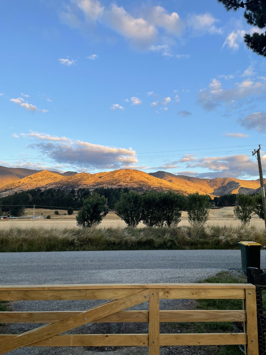 Fay Troote Illustration tweet media