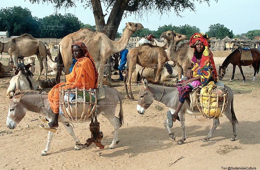 Sudan - West Darfur, Habilah. On Sunday is Market Day || Two Women, Wearing Colorful Veils on the Heads, Ride Donkeys Loaded with Goods and a Cock.

#SudaneseCulture #ثقافة_سودانية

📷 Didier Ruef