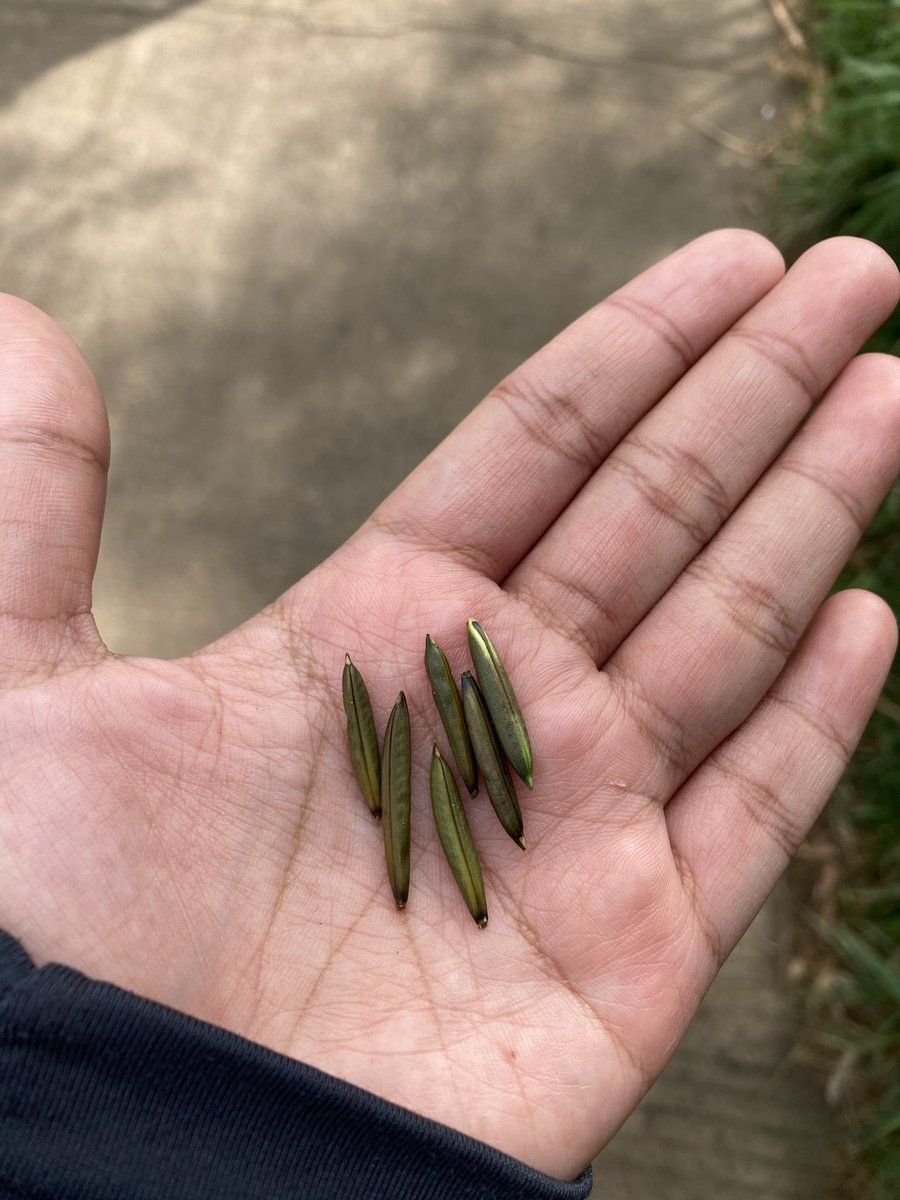 🧍‍♀️ tweet media