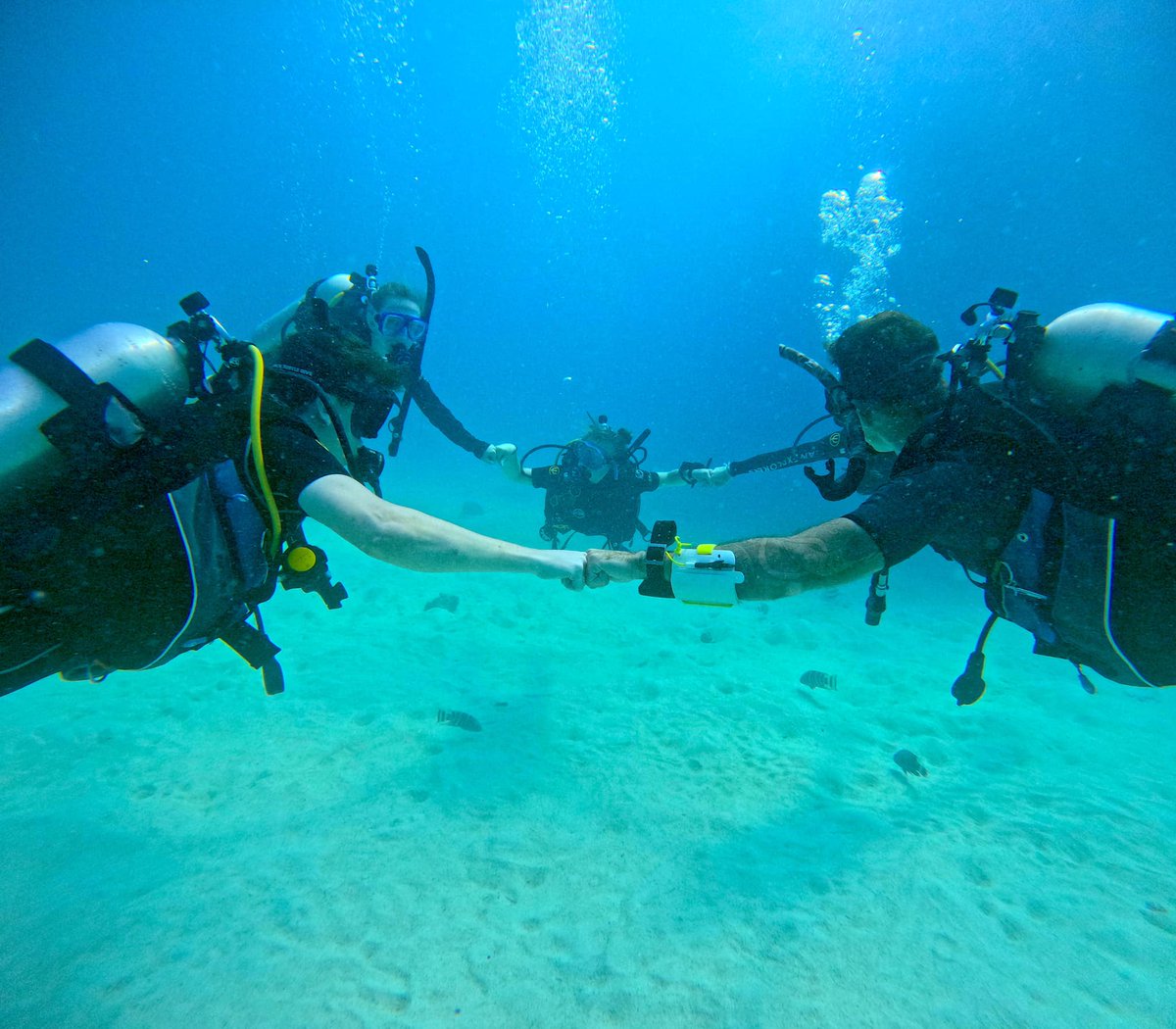 At Black Turtle Dive we take our customer promise very seriously. All our diving courses are conducted with a maximum of 4 students per our highly trained PADI Instructor.  blackturtledive.com #thailand #scuba #scubadiving #fundiving #kohtao