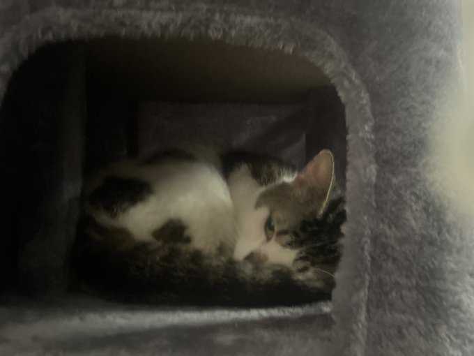 i&rsquo;m on my period this shit hurts https://t.co/bVIeWRbtj1