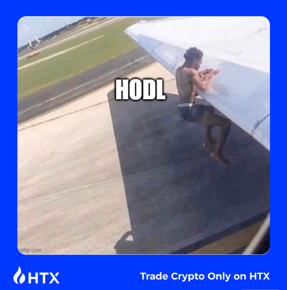 HTX tweet media